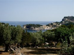 Mallorca 31